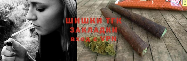 ешки Бородино