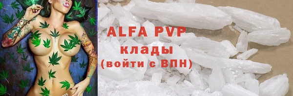 ешки Бородино