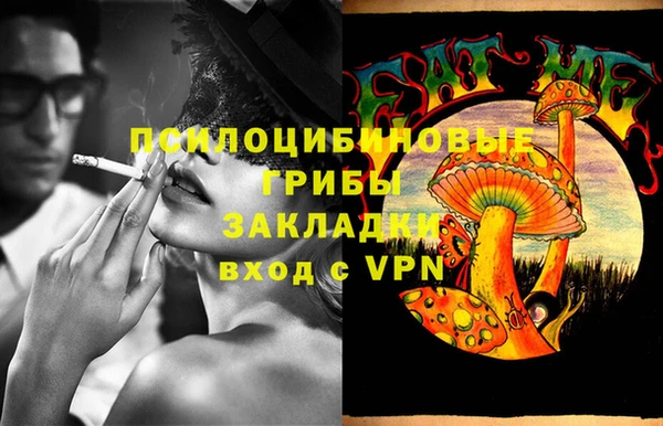 ешки Бородино