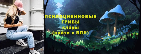 ешки Бородино