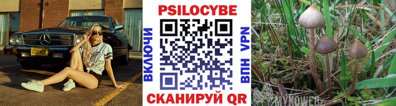купить наркотик  Тулун  Галлюциногенные грибы мухоморы 